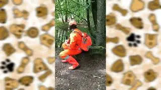 Eine kleine Wanderung in Spiesen-Elversberg