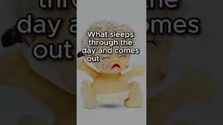 Riddle addict: What sleeps through the day? Riddle 47 #quiz