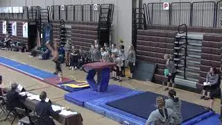 Vault- Hayden Davidson