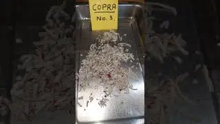 Dry Coconut Scraper, Flakes Cutting Machine #reels #business #entrepreneur #india #trend