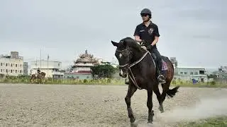 🦅🏩【🦄阿澤馬術🐴🌹🎹不是因為有了進步才堅持💖而是因為堅持才有了進步🎹🌹🐴】🐉【🦄回憶成長紀錄🐴】🎼《*🦄≧💖‿❤️≦🐴*》👪🎼【🏩🎀🌻👑🎻🍭🎹(李秉澤🤗鋼琴老師)🎹🎻📯👑🌸🦋🏩】🏫🏰🕌🌉🌻🐠🦀🐟🐬🐳