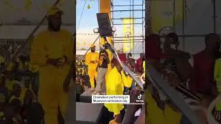 CHAMELEON AT MUSEVENI NOMINATION #trending #uganda #viral