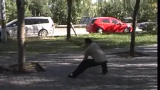 Wang Shuyi doing old Xing Yi Quan form  Long Xing Ba Shi