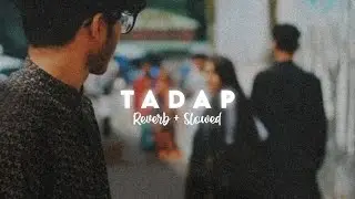 TADAP🥺🎧(Reverb + Slowed) | Romeoxpro | #lofi #reverb