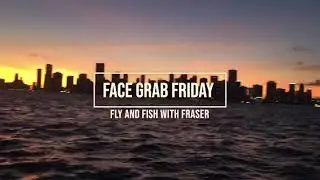 Mullet Run October 2020 report on Miami Tarpon Fishing Charters