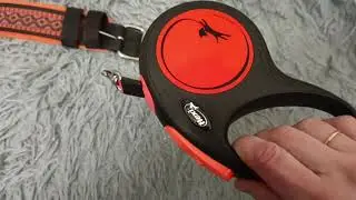 Поводок-рулетка Flexi New Neon для собаки-лабрадора