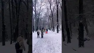 #Romania Trivane Forest Winter Memories#rddolly #travel Vlog