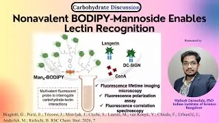Nonavalent BODIPY-Mannoside for Lectin Recognition