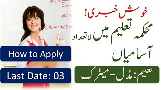 Drivers Jobs in Punjab Special Education Department 2022- 83 Vacancies