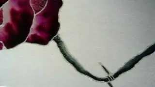 La vie en rose