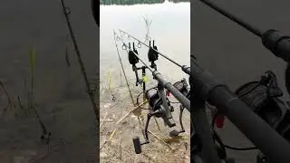 Alat pancing serba modern #shortsviral #viralmancing #amazing #sungaikalimantan #fishingcampborneo