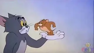 Tom And Jerry As KGF || KGF In Tom And Jerry ||KGF Spoof