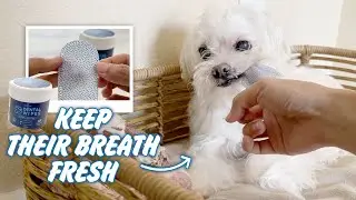 QUICK LOOK - Pet Dental Finger Wipes for Dogs by Noveha