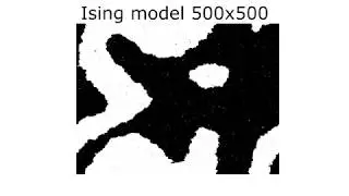 Ising Spin Model
