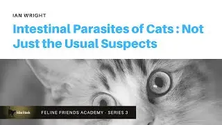 Intestinal Parasites of Cats: Not Just the Usual Suspects