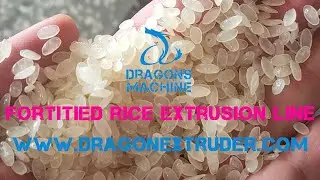 Extruded Fortified Artificial Rice Machine OEM Supply Instant Rice Machine Rice Extruder Machine