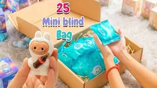Cutie mini Labubu / Mystery Mini Blind Bag Surprise  ❤️