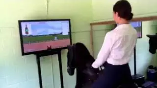 Clement Dressage Simulator Features