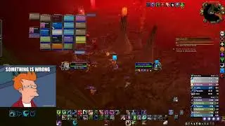 -BRONZEBEARD-  DRUIDA LVL 60  MOLTEN CORE PROGRES