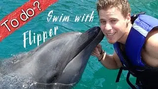 Swim with dolphin - Ocean Adventure - To do?  by OrDub
