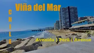 Avenida | Perú | Avenue - Viña del Mar CHILE