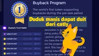 Dompet pembayaran buy-back catly saldo USDT melimpah.