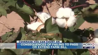 What happens without a farm bill? (6 p.m.)