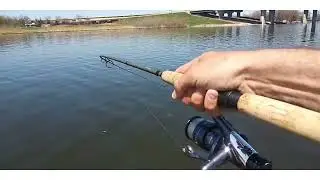 Musky Stalks My Pike Catch | Little Lake Butte des Morts, WI