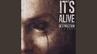 We Are Fiction