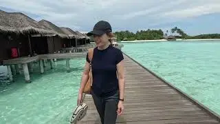 LUXURY ADULTS & COUPLES 5 STAR MALDIVES RESORT 2024 | Anatara Veli Maldives Resort