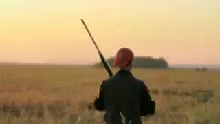 Jep aret prepelite