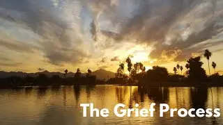 Pet Loss Series | The Grief Process