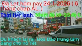 Đ&agrave; Lạt h&ocirc;m nay thời tiết lạnh. Du kh&aacute;ch lai rai. Hoa Đ&agrave;o trung t&acirc;m đang chờ nở Tết.
