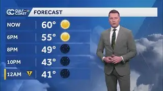 Temperatures to fall to freezing levels for most of Florida's Gulf Coast