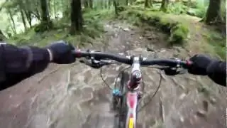 MBR trail at Coed y Brenin on a Trek Remedy