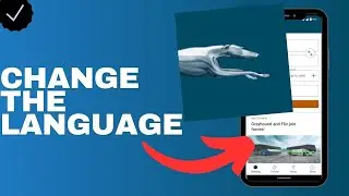 How to change the language in the Greyhound app?