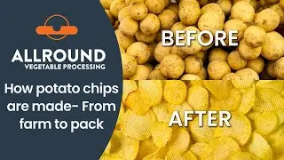 How potato chips are made - From farm to pack I Allround Vegetable Processing