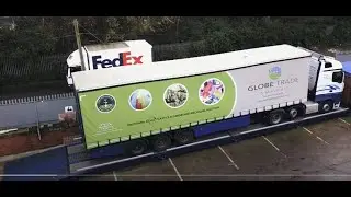 Introducing Globe Trade & Services (GTS)