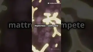 Elastic Interactions and Persistent Motility Drive Durotaxis