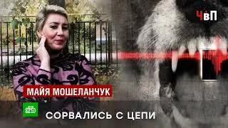 Animal rights activists as enemies of Russians