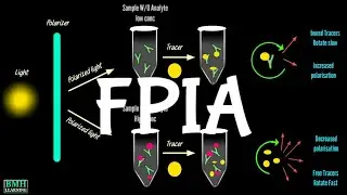 Флуоресцентно-поляризационный иммуноанализ | ФПИА |