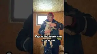 Переполох в родильном отделение порешали, ждем новых детишек