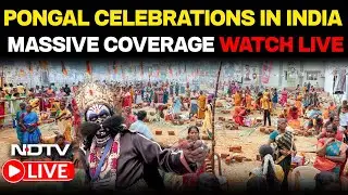 Pongal Celebration LIVE | Pongal Day Celebration | Jallikattu LIVE | Pongal 2026 | Pongal LIVE