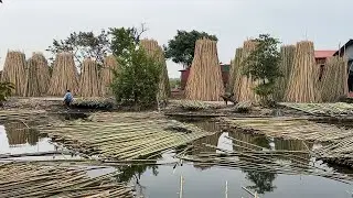 The Largest Bamboo Production and Manufacturing Process You've Ever Seen - Unique Bamboo Furniture