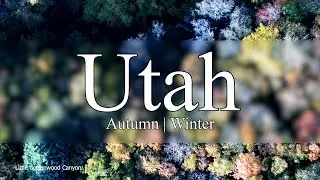 Autumn & Winter in Utah