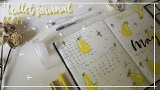 BULLET JOURNAL 2019 | may Setup pear Theme