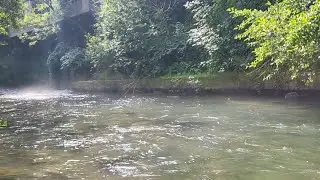 P&ecirc;che de belles truites au TOC