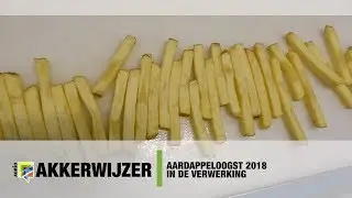 Aardappeloogst 2018 in de verwerking