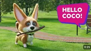 #coco play dog #coco #dog #trending coco dog video #mindspark #tataplay #coco #cocodogworld 