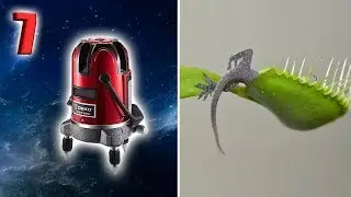 7 The Best Products With AliExpress 2018. Gearbest Banggood | Shopping Online. Electronics.